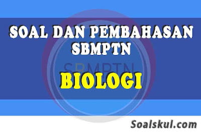 Soal UTBK Biologi dan Pembahasan Terlengkap Soal UTBK Biologi dan Pembahasan Terlengkap