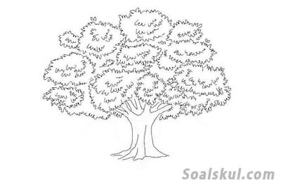 contoh gambar pohon 2 contoh gambar pohon 2
