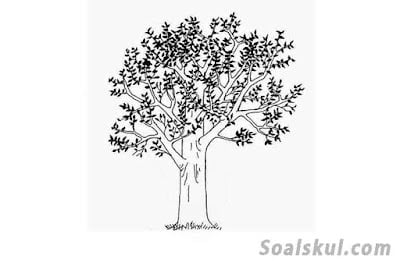 contoh gambar pohon 3 contoh gambar pohon 3