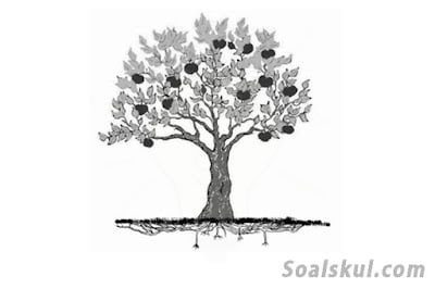 contoh gambar pohon 4 contoh gambar pohon 4