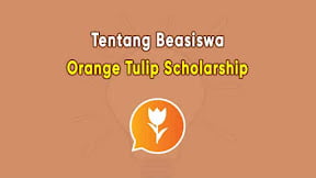 Beasiswa Orange Tulip Scholarship (OTS): Syarat, Alur dan Cara Daftar