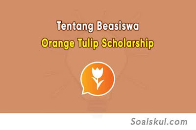 Beasiswa Orange Tulip Scholarship (OTS): Syarat, Alur dan Cara Daftar Beasiswa Orange Tulip Scholarship (OTS): Syarat, Alur dan Cara Daftar