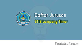 Daftar Jurusan STIE Lampung Timur (TERBARU)