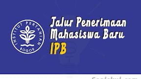 Jalur Penerimaan Mahasiswa Baru di IPB University